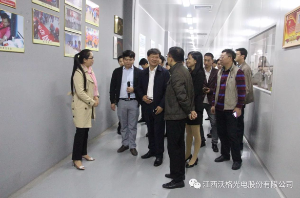 省委常委、统战部部长陈兴超一行莅临沃格光电调研指导工作